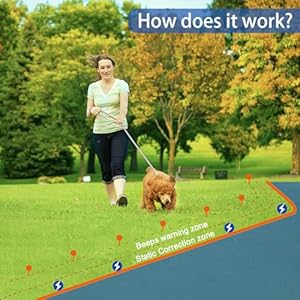   Basic-In-Ground-Pet-Fence-Underground-Electric-Pet-Fence-System-with-Waterproof-and-Rechargeable-Training-Collar-Electric-fence-for-Dogs-Deep-Blue-Kit
