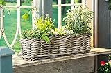 Pflanzkasten Koboo Grey aus Rattan, grau, 60 cm lang, Blumenkasten, Pflanzkasten, Flechtkorb