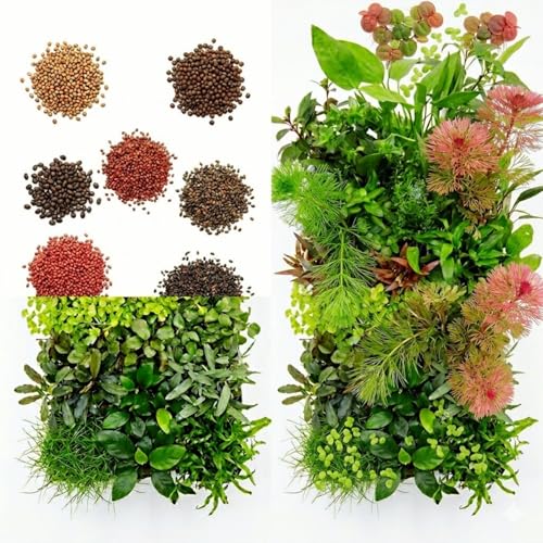 100 Aquarium Grass Seeds for Planting Mix Aquarium Seeds Aquatic Grass Garden