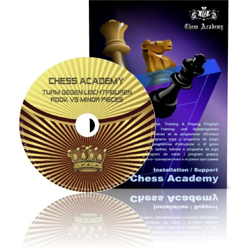 Preisvergleich Produktbild Chess Academy Mittelspielstrategie: Turm gegen Leichtfiguren