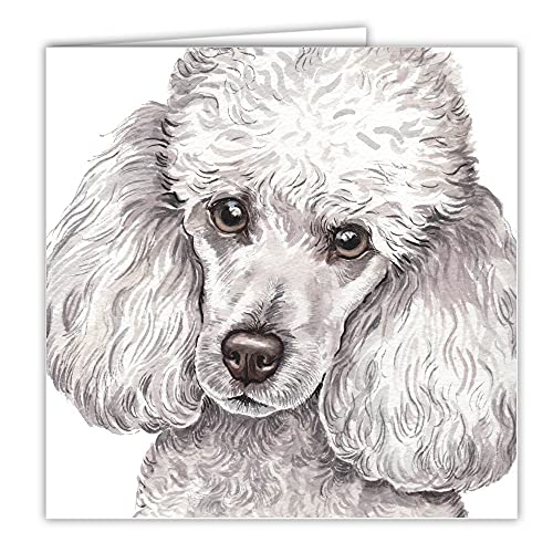 Waggy Dogz Grußkarte, Motiv: Minatare Pudel, Hund, von Christine Varley Cover