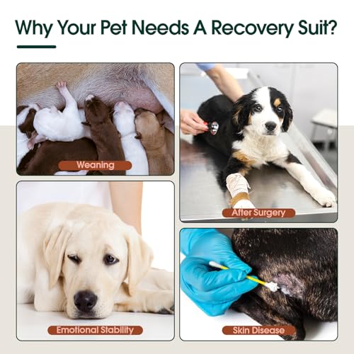 Kuoser Dog Surgery Suit Female Spay, Dog Recovery Suit Male Neuter, Puppy Clothes Onesie for Surgery Anti Licking Abdominal Wounds Pet Surgical Recovery Bodysuit Shirt, Substitute E-Collar & Cone