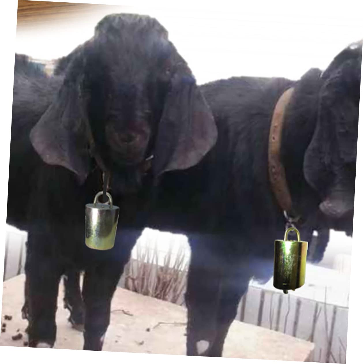 4pcs Cattle Bells Set Galvanized Alloy Bells for Crafts Sturdy Handles