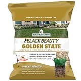 Jonathan Green (10701) Black Beauty Golden State California Grass Seed (Made for California) - Cool Season Lawn Seed (7 lb)