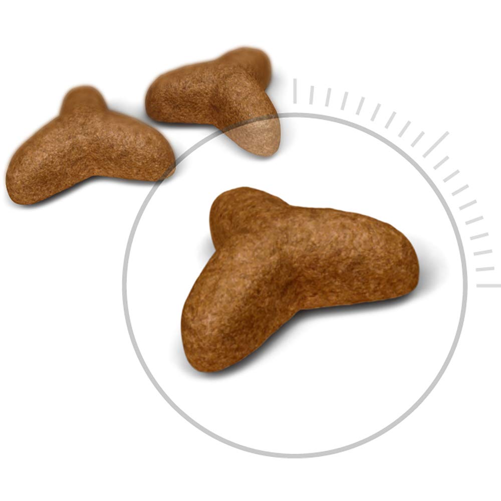  CANIN ライト ウェイトケア 8kg 楽天市場】[最大400円OFFクーポン/くらしに+]【セットはさらにお