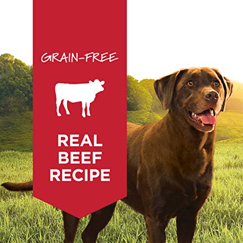 Instinct Original Grain Free Real Beef Recipe Natural Wet Canned Dog Food, 13.2 Oz. Cans (Case Of 6) #TOP1