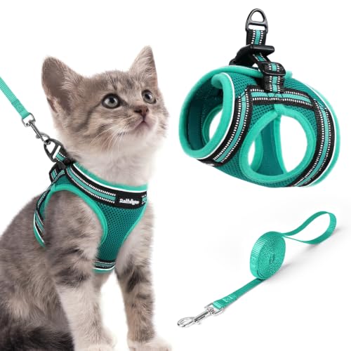 Image of rabbitgoo Cat Harness and Leash Set, Step-in Soft Vest, Turquoise & Green