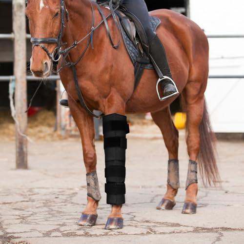 Image of QWORK Horse Ice Leg Wraps - Reusable Gel Ice Pack Therapy Set of 2 - for Horses Injuries, Swelling, Arthritis, Black