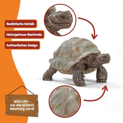 SCHLEICH WILD Life | Riesenschildkröte 14824 | detailgetreue Tierfiguren | Zoo Spielzeug | tolles Geschenk für Jungen und Mädchen | Deko für Geburtstag | Spielfigur ab 3 Jahren | 8 x 4 x 4 cm