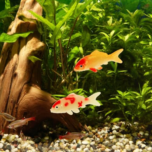 Image of TOYANDONA 2pcs Koi Fish Statues Realistic Aquarium Decor for Fish Tanks Adorable Floating Goldfish Figurines for Home and Garden Decoration Miniature Crafts