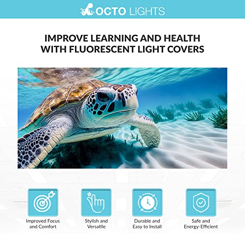 Image of Fluorescent Light Cover for Classroom Ceiling Lights - Premium Backlit Film Insert 2x4 (22.38 inchx46.5 inch) Florescent Fixture (Pack of 1) School, Office, Sensory, Improve Focus, Eliminate Headache - Turtle
