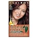 Clairol Natural Instincts Hair Color, Burgundy Brown [4RV] 1 ea (Pack of 2)