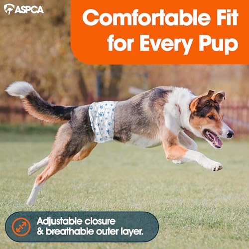 Image of ASPCA Disposable Male Dog Diapers, Leak-Proof Dog Wraps with Wetness Indicator, Adjustable Fit for Training & Incontinence, 24 Count