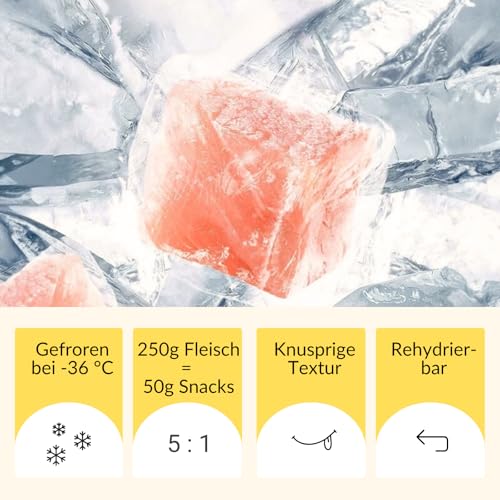 RumbleBox 100 % Hühnerleber Gefriergetrocknet – Monoprotein Katzensnack ohne Getreide & Zucker, Appetitanreger für Allergiker & wählerische Katzen (50 g)