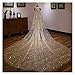 LNJMRU Fashion Luxury Wedding Veils for Brides Bling Gold 3 Meters Sequins Crystal Big Bridal Veils Wedding Accessories(Flower Gold)