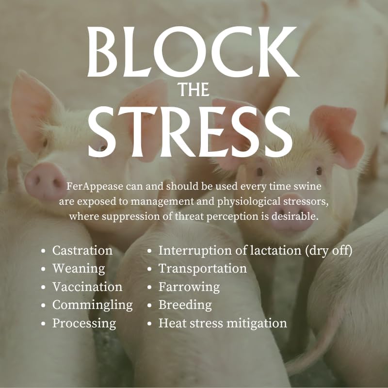 FerAppease® Swine Maternal Appeasing Substance – 1 Gallon (128 oz) for Pigs | Stress-Reduction Formula for Sows & Piglets | Applicator Not Included