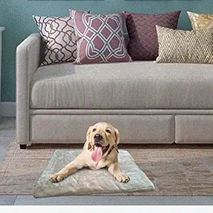 Callas Dog and Cat Bed/Mat | Super Soft Pet Bed/Mat for Dog & Cat | Pet Beds for Pets Sleeping (62 x 47 x 2.5 cm | Cream)