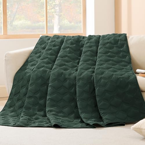Image of Litanika Queen Quilt Bedding Set, Forest Green Summer Lightweight Soft Comforter Bedspreads & Coverlets, Boho Farmhouse Bedding Cover Bed Decor All Season, 3 Pieces (1 Quilt, 2 Pillowcases)