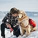 Kurgo Big Baxter Dog Backpack, Dog Saddlebag, Dog Pack, Adjustable Saddlebag for Hiking, Walking, Running, Camping, Chili Red/Barn Red