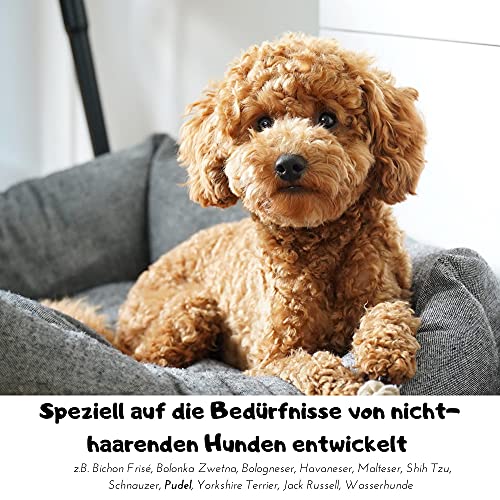 Moki Bär Hundeshampoo wit wertvollem Arganöl aus Marokko I Für geschmeidiges Fell und Gute Kämmbarkeit I Made in Germany