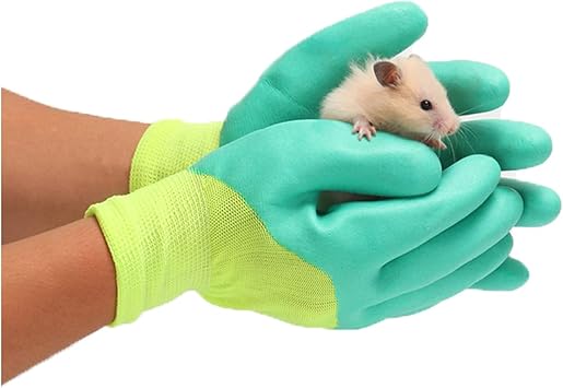 Amazon Hitasi ペットグローブ 噛みつき防止 ペットグローブ 保護手袋動物取り扱い ハムスターネイルズデグー 猫犬 用アンチ咀嚼アンチ咬傷 スクラッチ耐摩耗性耐裂性手袋 モモンガロング Hitasi 訓練士用スーツ セット 通販