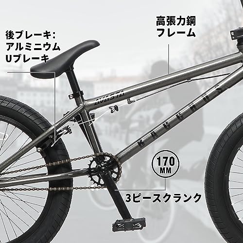 AVASTA Bacchus BMX 20インチ
