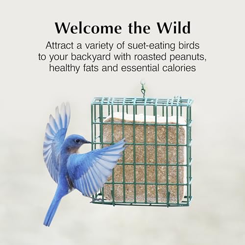 Image of C&S Woodpecker Delight No Melt Suet Dough, Suet Cakes for Wild Birds Including Woodpeckers, Flickers and More, 11.75 Ounces, Pack of 8
