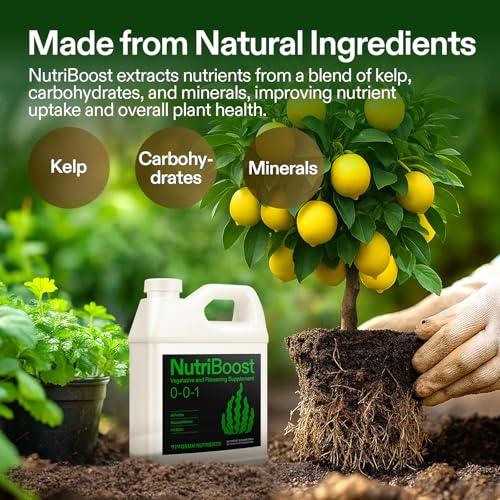 VIVOSUN Fertilizante Líquido Concentrado NutriBoost 32 oz miniatura 2