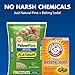 Feline Pine Platinum Natural Pine Original Non-Clumping Cat Litter, with Baking Soda, 40 lb