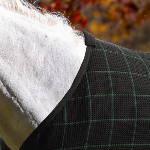 Image of Equinavia Luftig Waffle Cooler | 100% Cotton - Black /Hunter Green - 84 in