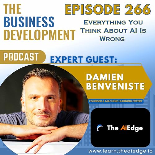 Everything You Think About AI Is Wrong with Damien Benveniste cover art