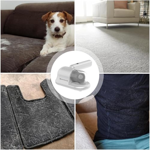 Aspirateur de avec UV contre les poils et la poussière du tapis - 6