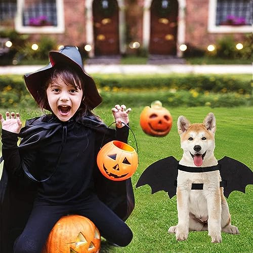 LIBRNTY Haustier Fledermausflügel,Halloween Haustier Kostüm,Katze Hund Fledermaus Kostüm,CHundekostüme,Dekoration,Schwarze Bekleidung für große Katzen Hunde(Neues Upgrade im Jahr 2023 schwarz,groß)