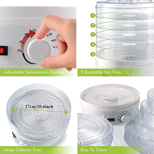 Image of 5-Tray Electric Food Dehydrator Machine with Adjustable Thermostat (35-70C) - Stackable Food Dryer for Fruits, Vegetables, Herbs, Meat and Beef - For Healthy Home Kitchen Use