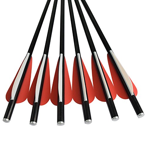Crossbow Bolts Arrows Fiberglass 14 Inch Hunting Sport Archery Target Arrow With Replaced 100 Grain Points Flat Knocks (Pack Of 12) #TOP2