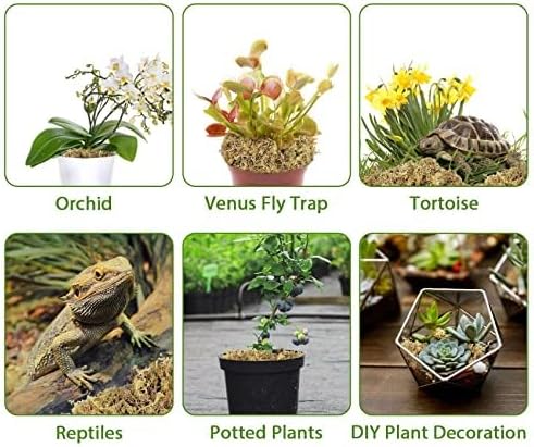 Miniatura 7 de Musgo esfagnum de 2.6 libras para plantas, reptiles de musgo esfagnum para orquídeas para macetas, mezcla de tierra para plantas, musgo de turba,
