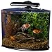 Tetra Aquarium Kit, Fish Tank with Filter & Lights