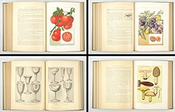 Hardcover THE GROCER'S ENCYCLOPEDIA, A COMPENDIUM OF USEFUL INFORMATION CONCERNING FOODS OF ALL KINDS Book