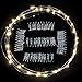 17Ft 50 LED Fairy String Lights with Clear Clips - Perfect for Dorm, Bedroom, Wedding Decor