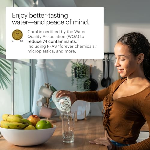 commercial water filtration system smart 1032