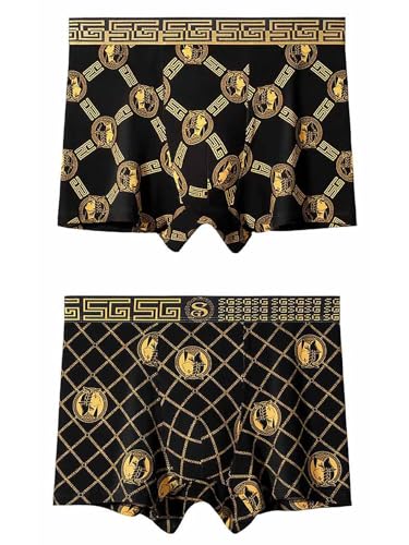 Men’s Underwear Boxer Brief Black & Gold Mixed Color Breathable Soft Comfortable Cotton Stretch Front Underpants for Men 2PCS