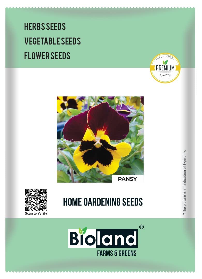 BIOLAND Pansy Flower Seeds (Phool ke Beej) for Home/Terrace Garden | Winter Blooming Flowers Seeds (B0B4PQ3VWM) Amazon Price History, Amazon Price Tracker