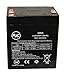 CSB HC1217W 12V 5Ah Sealed Lead Acid Battery - This is an AJC Brand153; Replacement