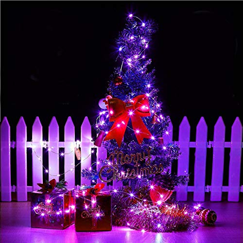 Image of RUICHEN Silver Wire 66 Ft 200 LED USB Fairy String Lights with On /Off Switch (Purple)