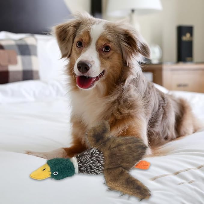 Juguete para Perro Pato Chillón Mordedor Interactivo miniatura 5