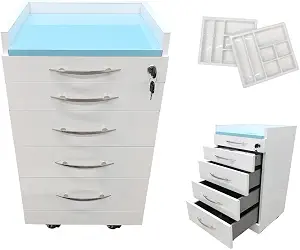 Dental Assistant's Mobile Cabinet 4 Drawer Dental Storage Cabinet Stainless Steel Mobile Utility Storage Cart with 2 Partition Brackets for School/Medical/Home/Hospital/Dental Cart