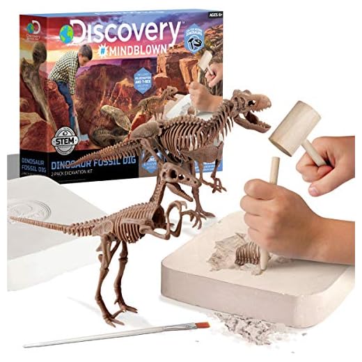 Discovery Kids Dinosaur Excavation Kit Puzzle (Dinosaur Fossil Dig)