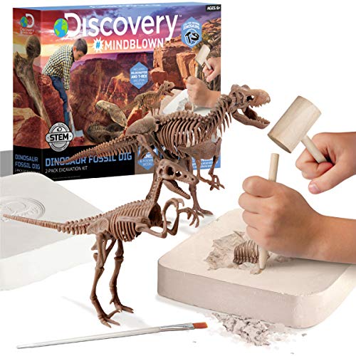 Our 10 Best Dinosaur Fossil Toys Dig In 2022 You Don't Wanna Miss CCE