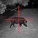 Sightmark Photon XT 4.6x42S Digital Night Vision Riflescope (SM18008)