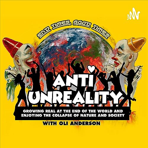 Anti Unreality cover art